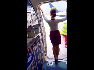 |_Stewardess_|_Flight_Attendant_|
