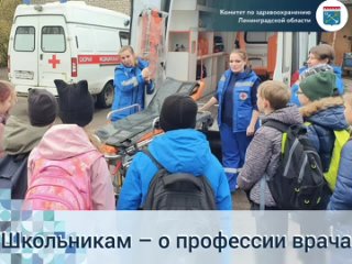 Школьники познакомились с профессией врачей в Волховском районе