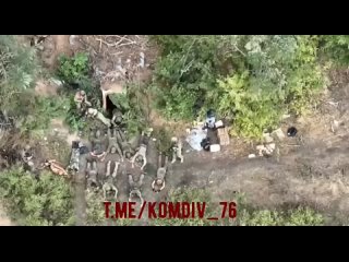 🇷🇺 Vier Fallschirmjäger aus Pskow haben 11 ukrainische Soldaten gefangen genommen