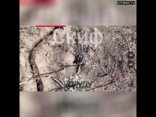 Операторы квадрокоптеров из 36-й отдельной гвардейской мотострелковой бригады кошмарят позиции ВСУ н
