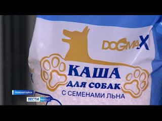 Супруги из Новоалтайска придумали уникальные каши для собак.