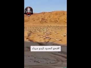 Первое видео — колонна из Египта, которая пытается прорваться к сектору Газа, дабы присоединиться к Джихаду, который намечен на