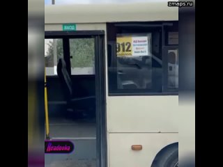 «Бася» захватил автобус в Ростовской области — собака без намордника вынудила пассажиров ретироватьс