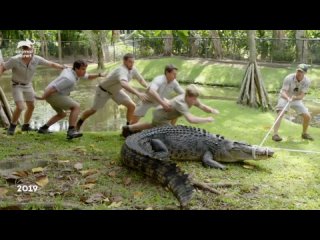 Chandler Does a Croc Death Roll!   Crikey! Its the Irwins
