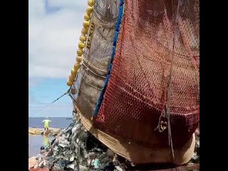 На этой неделе было самое крупное извлечение из Большого тихоокеанского мусорного пятна: 11 353 кг пластика