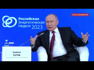 Надо быть тупым, чтобы этого не понимать!»: Путин признался, что его озадачивает недальновидность западных политиков