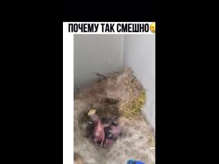 Видео от Юмор Аристократический