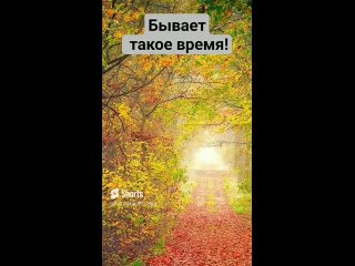 🧡 ОСЕНЬ!!! Бывает такое время, когда...  Исполняет автор, Светлана Белякова.