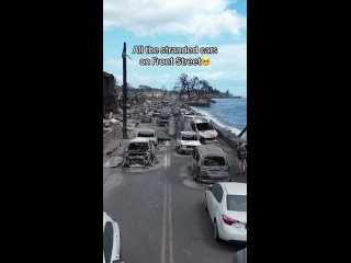 ⭐⭐⭐⭐⭐Bilan des incendies qui ont ravagé l’île de Maui à Hawaii