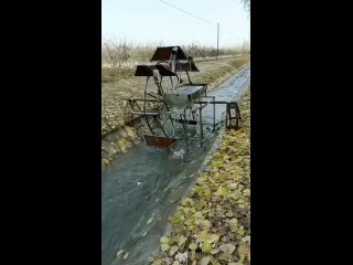 Картинки со смыслом или без... (видео)
