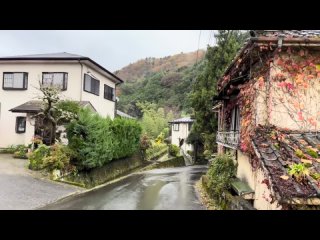 Staying at Japanese Ryokan with 4 Private Onsen in Izu♨️   Yugashima Tatsuta