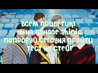 [shinic] Тест на знание группы Stray kids