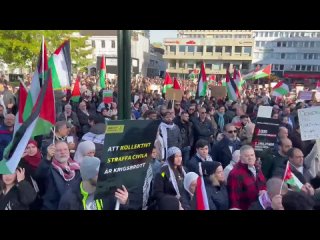A massive protest took place in #Malmö stating that the city stands with #Palestine and the Palestinians’ rights