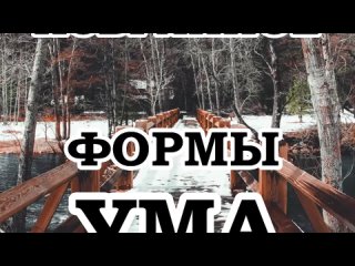 ⚜️ОШО — Глупых людей не бывает.