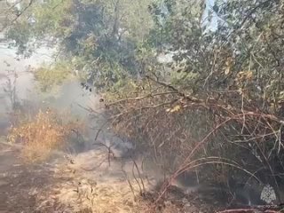 В Темрюкском районе пламя устремилось к домам местных жителей, МЧС наращивает группировку на месте пожара