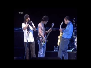 Red Hot Chili Peppers - Otherside [Live]