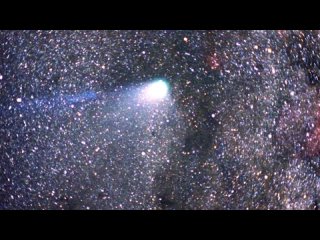 Halleys Comet Earths Constant Companion