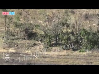 🇺🇦🇷🇺 Бои на Ореховском направлении: Десантники уничтожают группу боевиков, пытавшуюся занять лесополосу