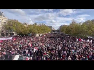 Самая масштабная демонстрация в поддержку Палестины прошла вчера в Париже, более 10 000 человек, в один голос, скандировали - “М