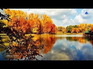 ERNESTO CORTAZAR - Les Feuilles Mortes(Autumn Leaves)