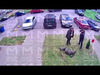 В Киришах двое мужчин избили местного жителя за замечание о парковке на газоне