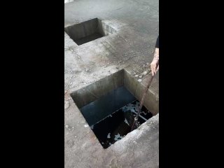 ℹ️ Мужчина чуть не погиб, спасая свою собаку из канализации в Мурино