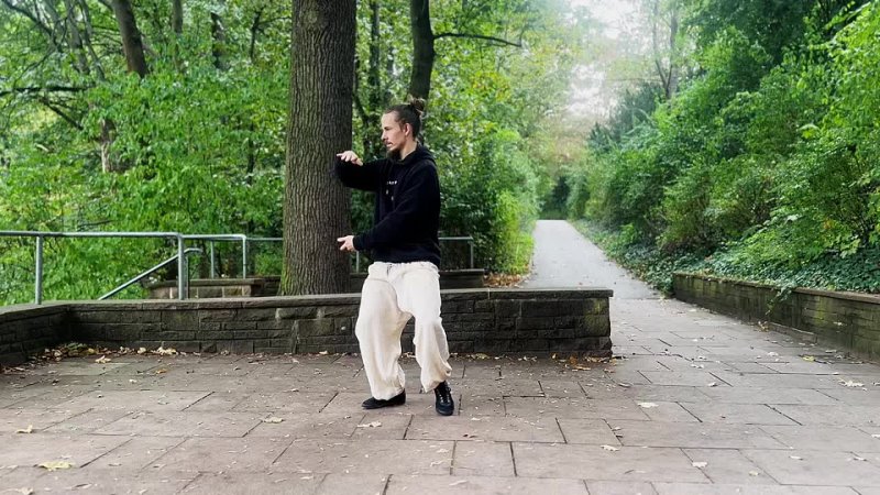 Wudang Kung Fu Tai Chi Exercise Throw your elbows