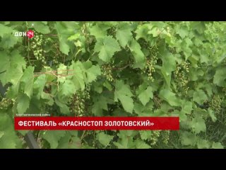 Эногастрономический фестиваль «Красностоп Золотовский»