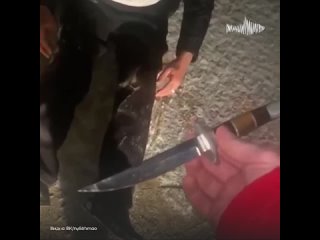 Пьяный нефтеюганец угрожал ножом девушкам на улице