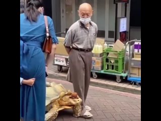 🥰 Этот 69-летний японец уже на протяжении многих лет ежедневно выгуливает свою 25-летнюю черепаху

прогулка двух лучших друзей