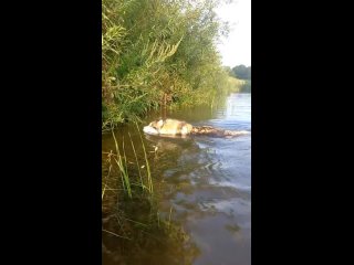 Видео от Ульяны Оленченко