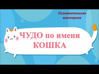 Чудо по имени КОШКА