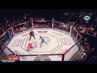 БИЕО.KARATE FIGHTERS IN UFC HIGHLIGHTS , fighters in ufc highlights