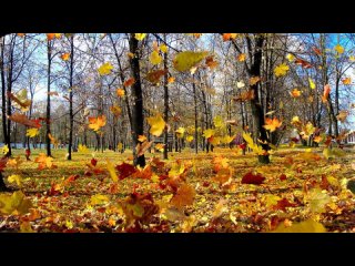 Видео от Дамский клуб “Красный башмачок“