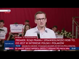 Зеленский все склюет: Поляки против украинского зерна