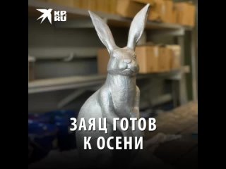 Заяц готов к осени