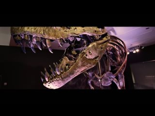 Secrets of the Dead: Season 22, Episode 2 “Jurassic Fortunes” (PBS 2023 US)(ENG/SUB ENG)
