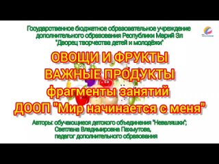 “ОВОЩИ И ФРУКТЫ ВАЖНЫЕ ПРОДУКТЫ“.