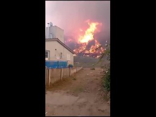 ️В Аргентине вспыхнули масштабные лесные пожары — предположительно, из-за того, что мужчина пытался приготовить кофе на костре