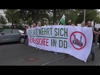 В Германии немцы вышли на митинг против строительства мечети в Дрездене