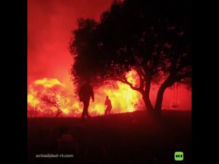 Al menos 800 evacuados por incendio forestal en Argentina