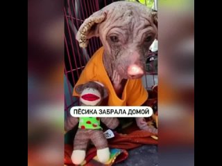 Поступок доброго человека