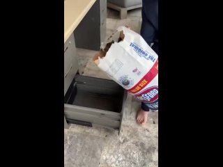 Босиком, но в костюме. - Стас Матрас