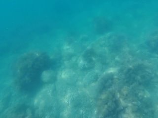 Жак-Ив Кусто “Подводная Одиссея“