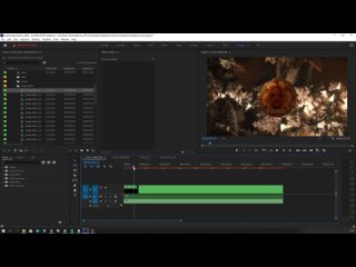 Цвет фото в шаблоне Premiere Pro