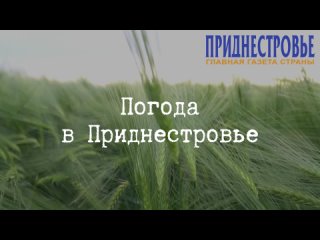 27 июля ожидается облачная с прояснениями погода, кратковременный дождь, местами сильный, возможно гроза, днем местами град