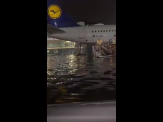 🛫 Грозы и проливные дожди нарушили работу аэропорта Франкфурта

Десятки рейсов были отменены накануне.