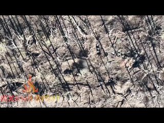 🇷🇺🇺🇦 Images du travail de combat d’un opérateur de drone d’une unité des forces spéciales du Groupe des forces du Sud larguant d
