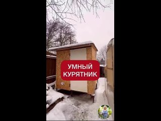 Ну очень умный курятник