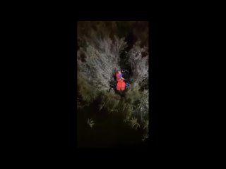Мужчина увяз в камышах реки Лазури в Твери